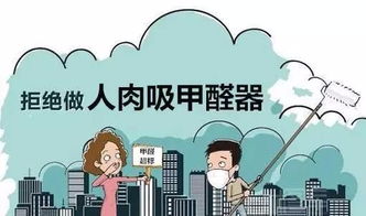 高溫天甲醛爆表？化學博士生教你如何快速除甲醛